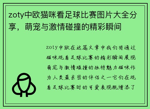 zoty中欧猫咪看足球比赛图片大全分享，萌宠与激情碰撞的精彩瞬间